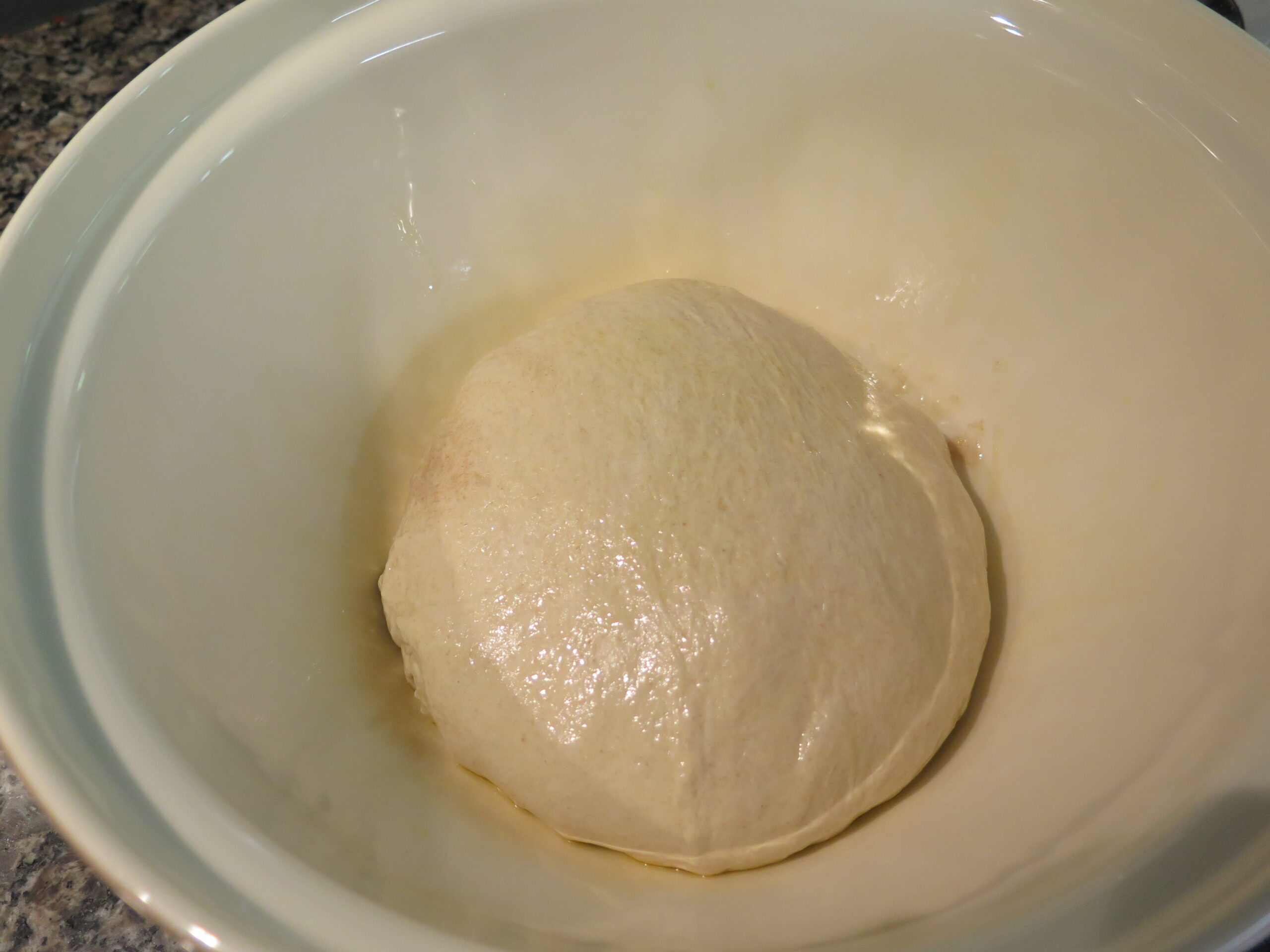 coat dough in oil and place in oiled bowl