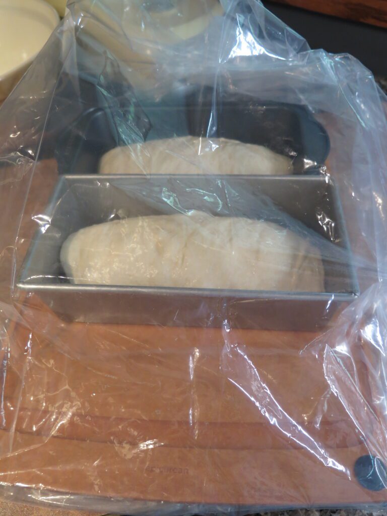 Bread ready for second proof