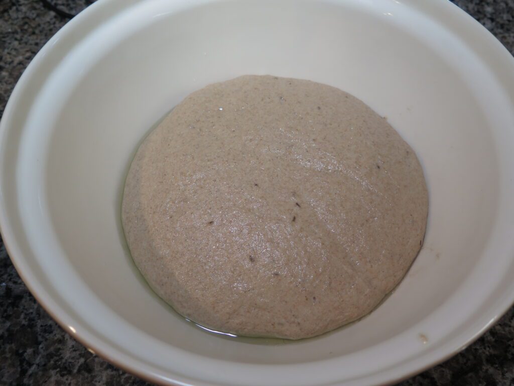 rye dough after 1 hour of rising time
